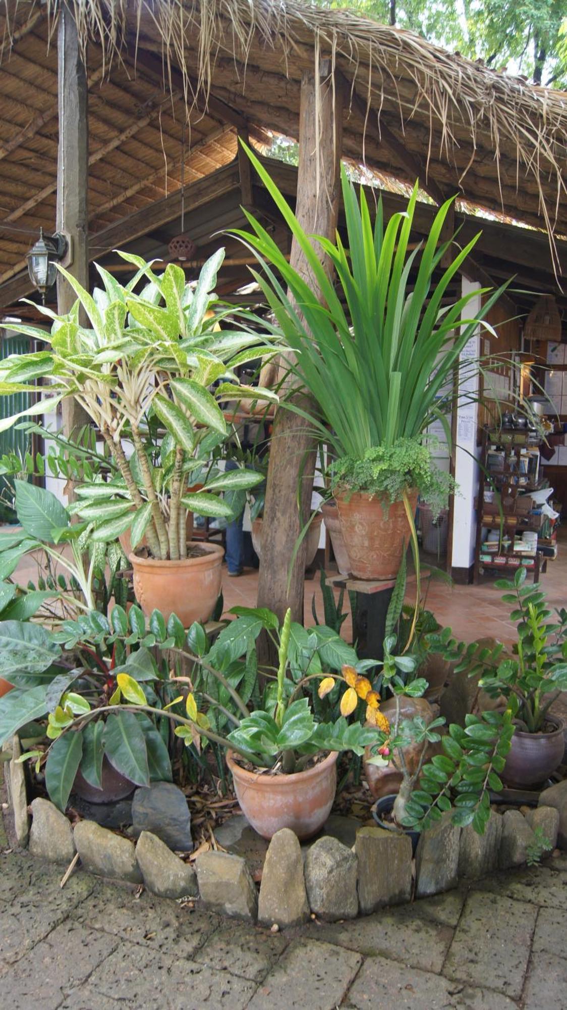 Mut Mee Garden Guest House Nong Khai Εξωτερικό φωτογραφία
