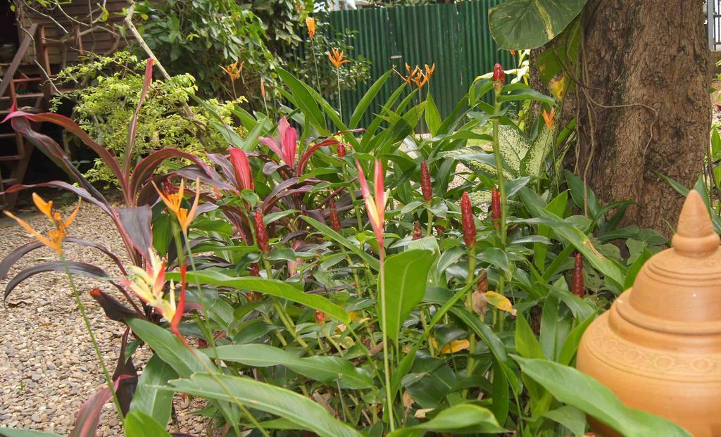 Mut Mee Garden Guest House Nong Khai Εξωτερικό φωτογραφία